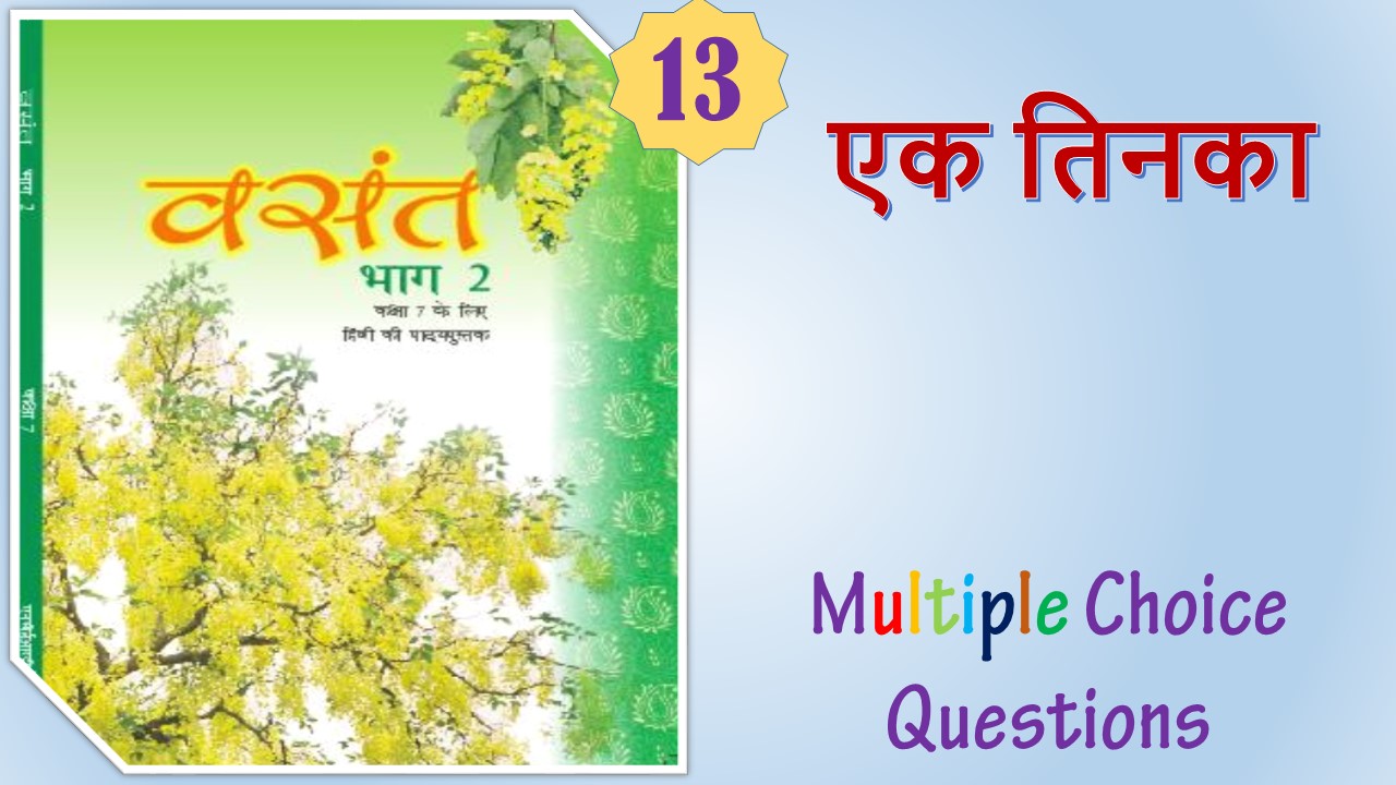 NCERT Class 7 Hindi Vasant (13)