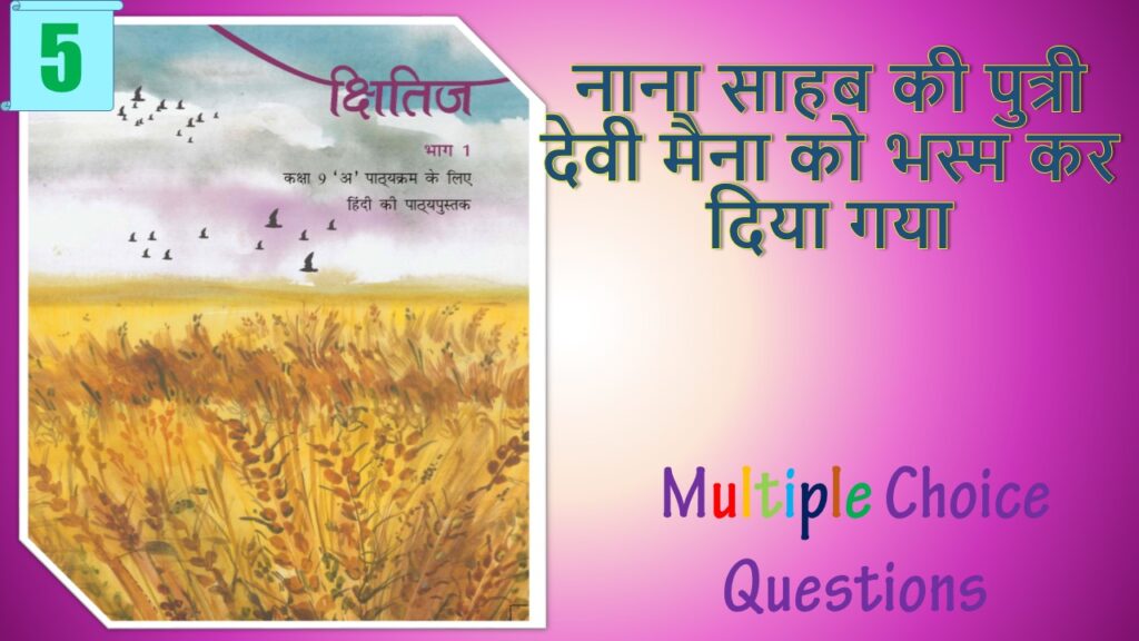 NCERT Class 9 Hindi Kshitiz MCQ (5)