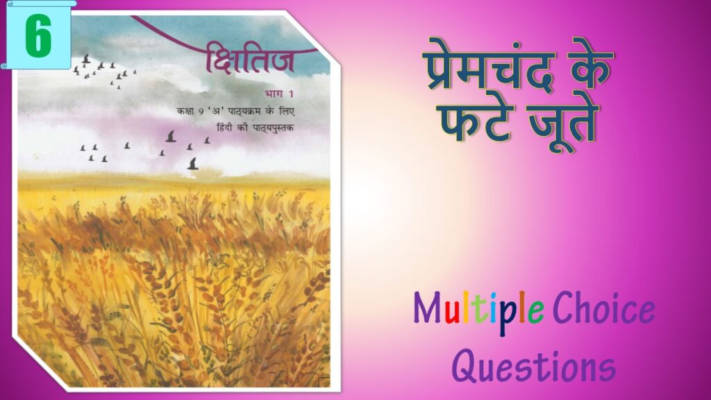 NCERT Class 9 Hindi Kshitiz MCQ (6)
