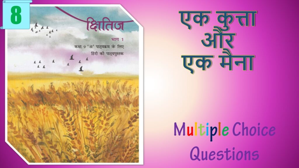NCERT Class 9 Hindi Kshitiz MCQ (8)
