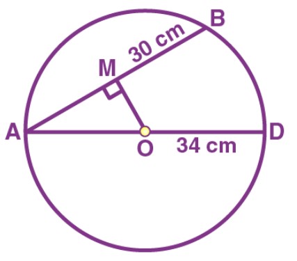Class 9 Maths Chapter 10 Circles MCQs Example 20