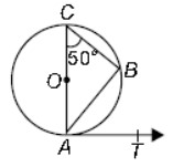 MCQ Questions for Class 9 Circle with Answers