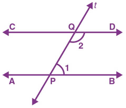 Class 9 Maths Chapter 6 Lines and Angles MCQs Example 13