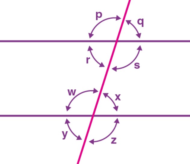 Class 9 Maths Chapter 6 Lines and Angles MCQs Example 9